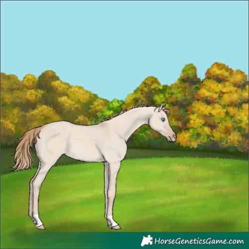 Horse Color:Smoky Creme Dun 
