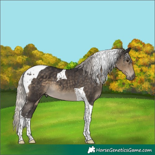 Horse Color:Silver Smoky Black Tobiano 
