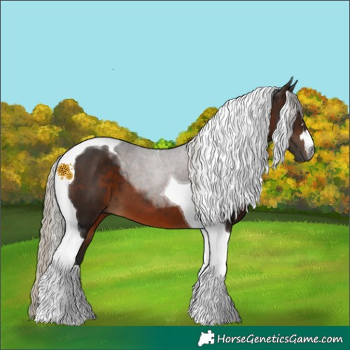 Horse Color:Gray Silver Brown Tobiano