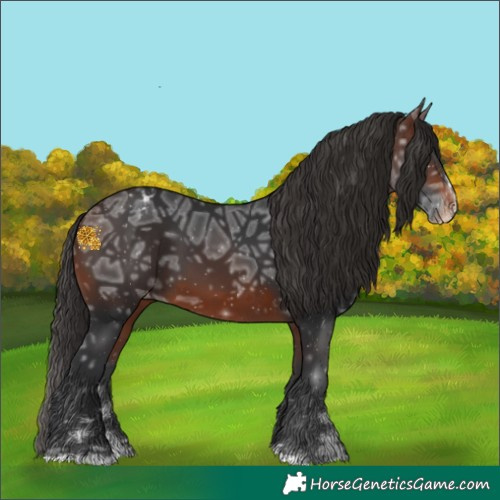 Horse Color:Brown Ice Splash Varnish Rabicano