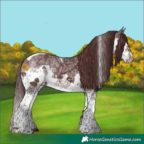 Horse Color:Chocolate Brown Ice Splash Tobiano