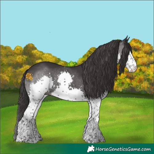 Horse Color:Smoky Black Splash Tobiano 