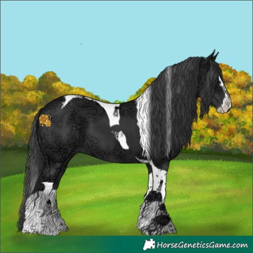 Horse Color:Black Ice Splash Tobiano
