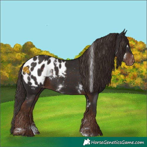 Horse Color:White Spotted Liver Chestnut Blanket 