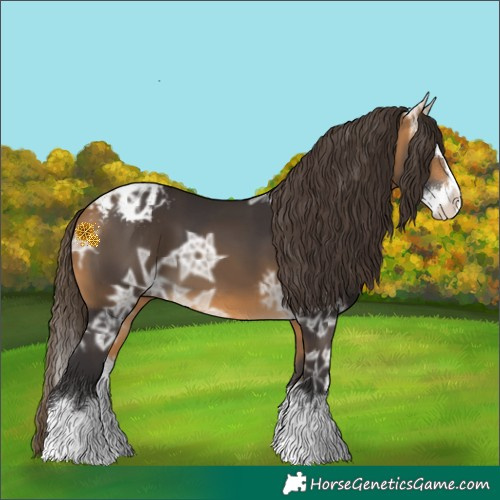Horse Color:Buckskin Ice Splash Varnish 