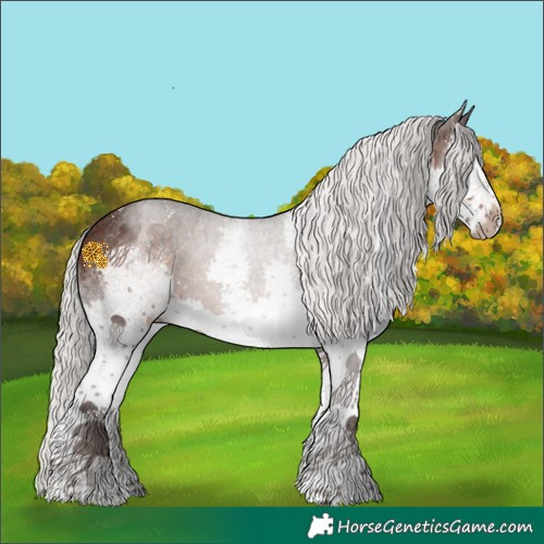 Horse Color:Silver Brown Sabino Splash