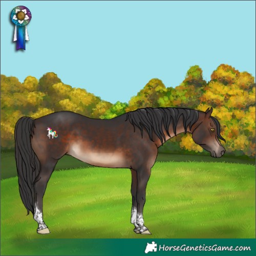 Horse Color:Brown Tobiano