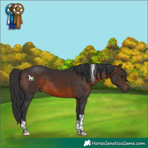 Horse Color:Brown Tobiano 