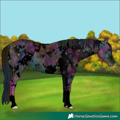 Horse Color:ERROR: UNKNOWN ANOMALY