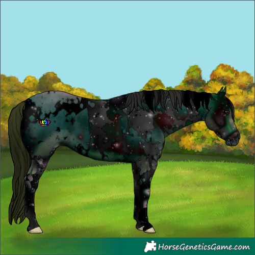 Horse Color:ERROR: UNKNOWN ANOMALY