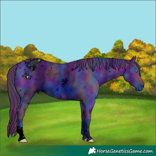 Horse Color:ERROR: UNKNOWN ANOMALY