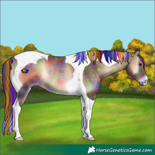 Horse Color:Painted Nacre Liver Red Onyx Tobiano Rabicano 