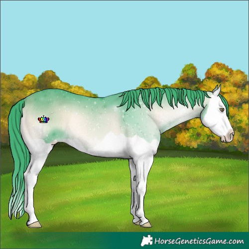 Horse Color:Watercolor Bay Chinchilla Onyx Splash