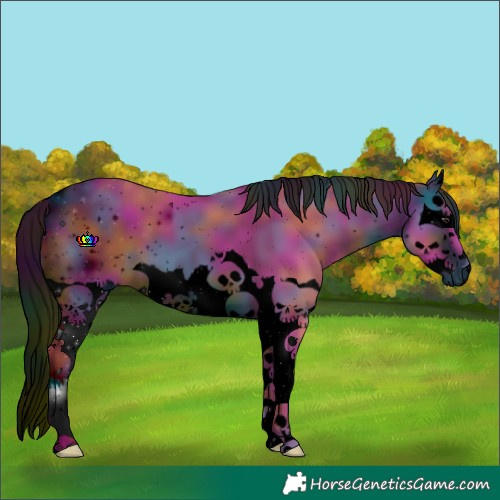 Horse Color:ERROR: UNKNOWN ANOMALY