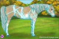 Horse Color:Thunderstruck Palomino Sabino