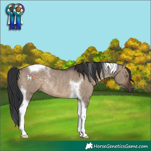 Horse Color:Brown Dun Tobiano Rabicano 