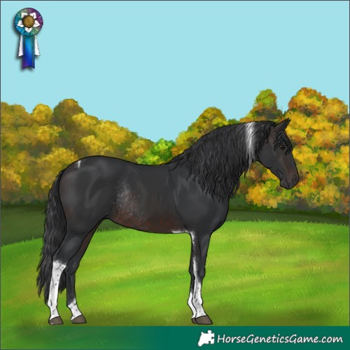 Horse Color:Brown Tobiano Rabicano