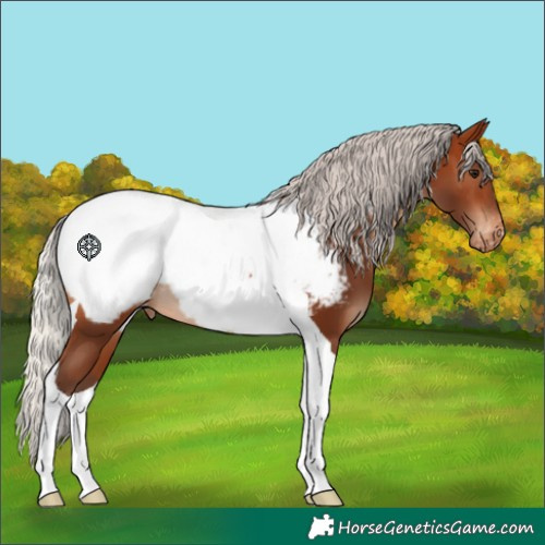 Horse Color:Silver Brown Tobiano Near Fewspot 