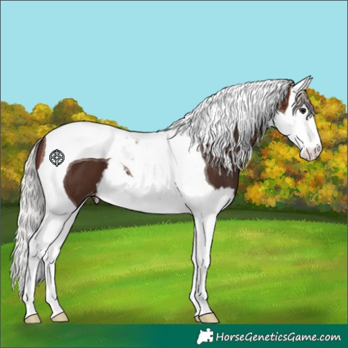 Horse Color:Silver Brown Splash Tobiano Varnish