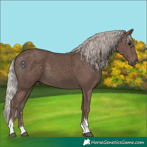 Horse Color:Silver Black Tobiano 