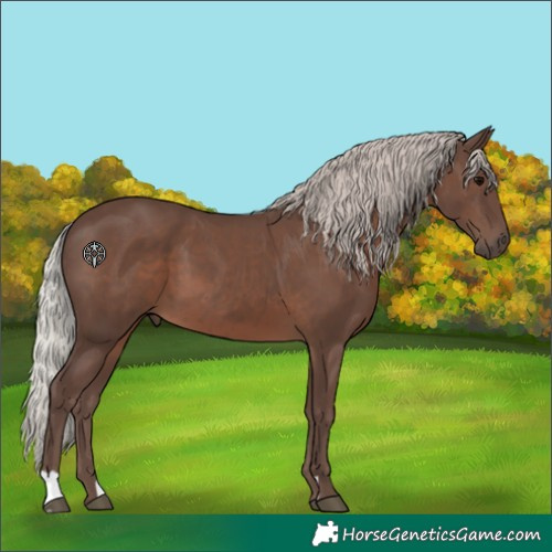 Horse Color:Silver Black 