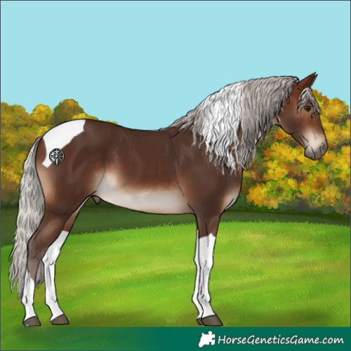 Horse Color:Silver Brown Tobiano 
