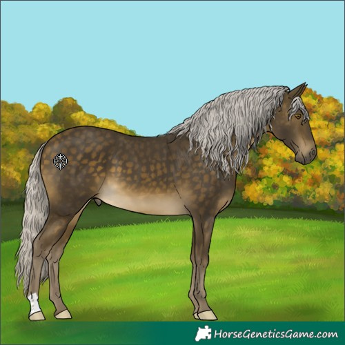 Horse Color:Silver Buckskin