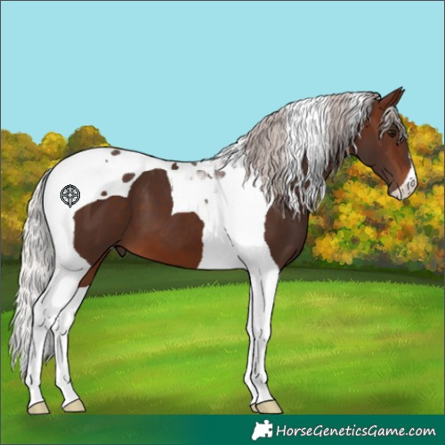 Horse Color:Silver Brown Tobiano 