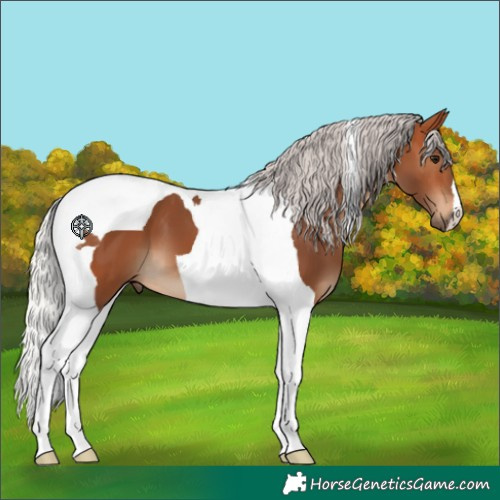 Horse Color:Silver Bay Tobiano