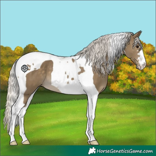 Horse Color:Silver Smoky Black Tobiano