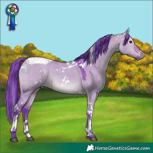 Horse Color:Watercolor White Spotted Bay Dun Tobiano 