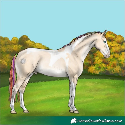 Horse Color:Painted Buckskin Pearl Dun Sabino Splash Tobiano 