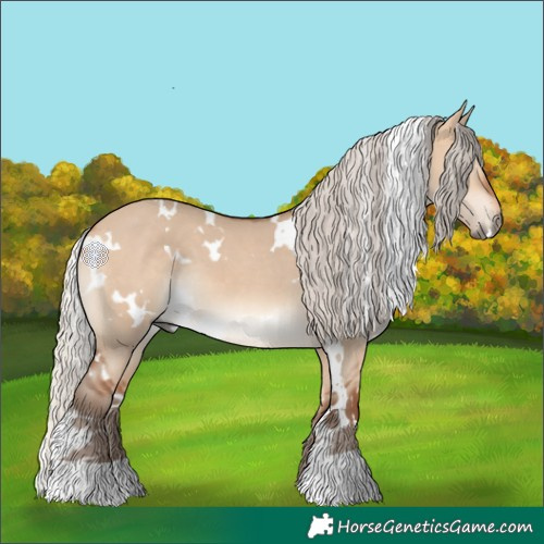 Horse Color:White Spotted Silver Bay Dun 
