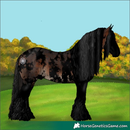 Horse Color:Void White Spotted Brown Sabino Splash 