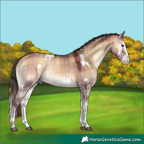 Horse Color:Plaid White Spotted Bay Onyx Splash