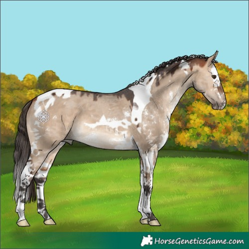 Horse Color:Bay Dun Sabino Splash Tobiano 