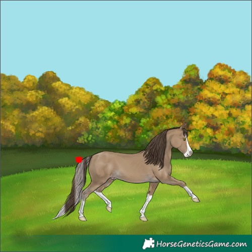 Horse Color:Classic Cream Champagne Splash