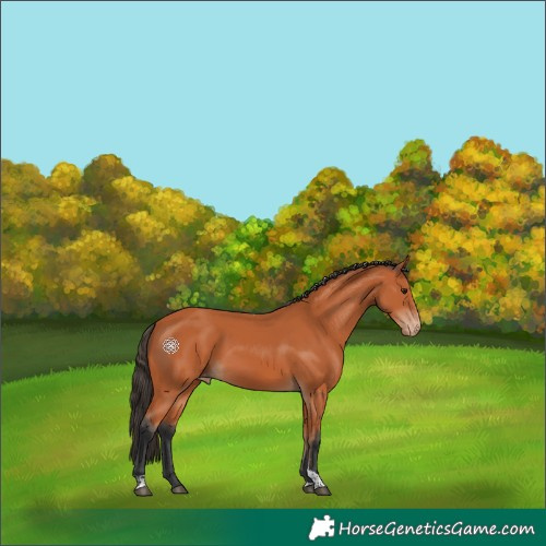 Horse Color:Bay Tobiano Varnish 