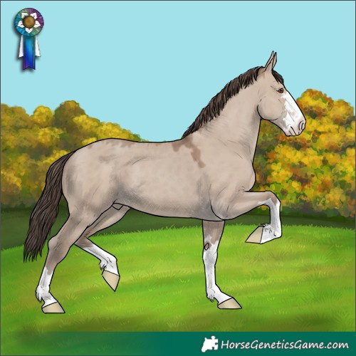 Horse Color:Classic Champagne Dun 