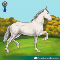 Horse Color:Silver Smoky Creme Dun 