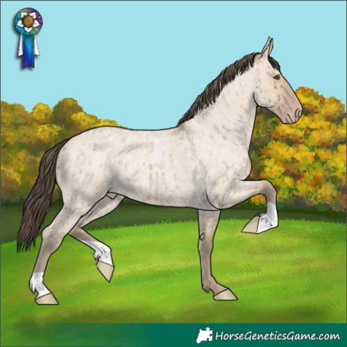 Horse Color:Classic Cream Champagne Roan Dun Brindle