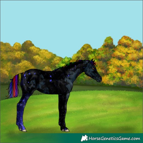 Horse Color:ERROR: UNKNOWN ANOMALY