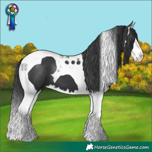 Horse Color:Black Splash Tobiano
