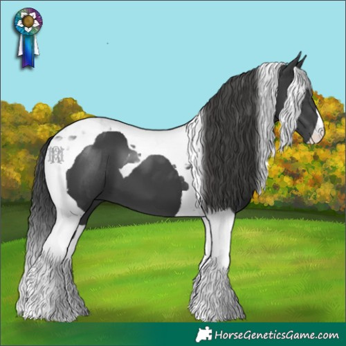 Horse Color:Black Tobiano