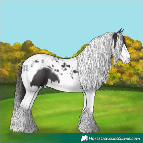 Horse Color:Smoky Black Splash Tobiano