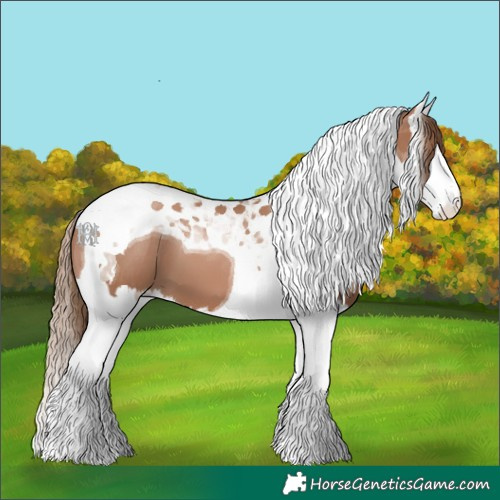 Horse Color:Black Pearl Splash Tobiano