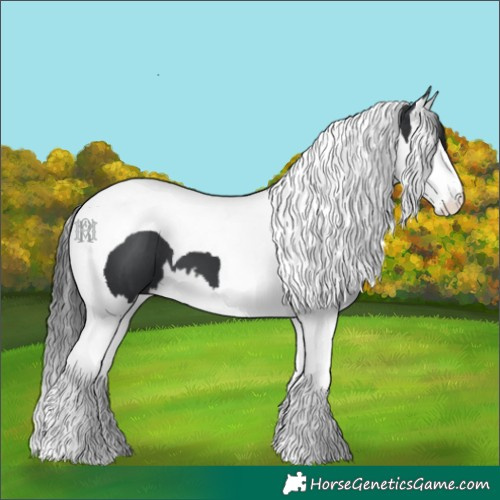 Horse Color:Black Splash Tobiano