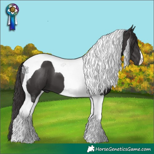 Horse Color:Smoky Black Tobiano 
