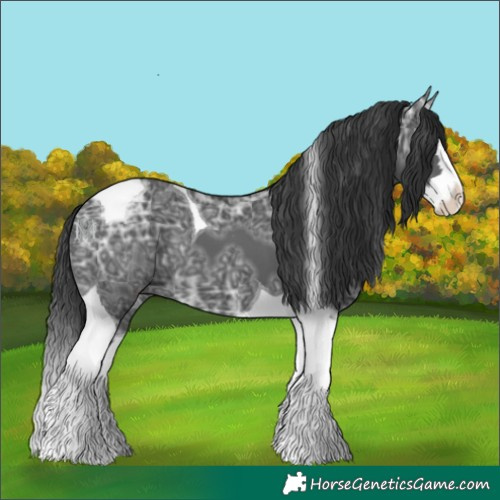 Horse Color:Black Ice Splash Tobiano 