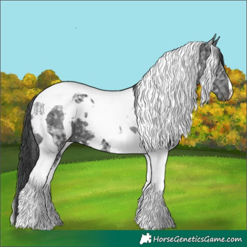 Horse Color:White Spotted Black Ice Tobiano